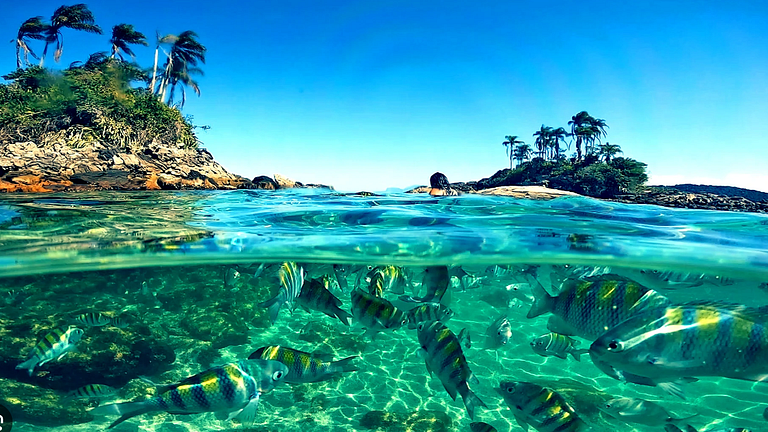 Casa Waimea - Linda casa com praia particular