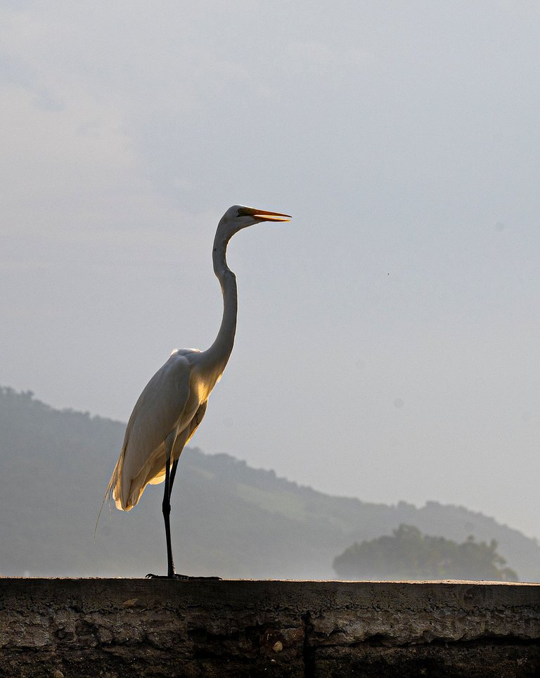Casa Waimea - Linda casa com praia particular