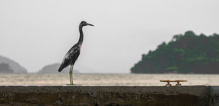 Casa Waimea - Linda casa com praia particular